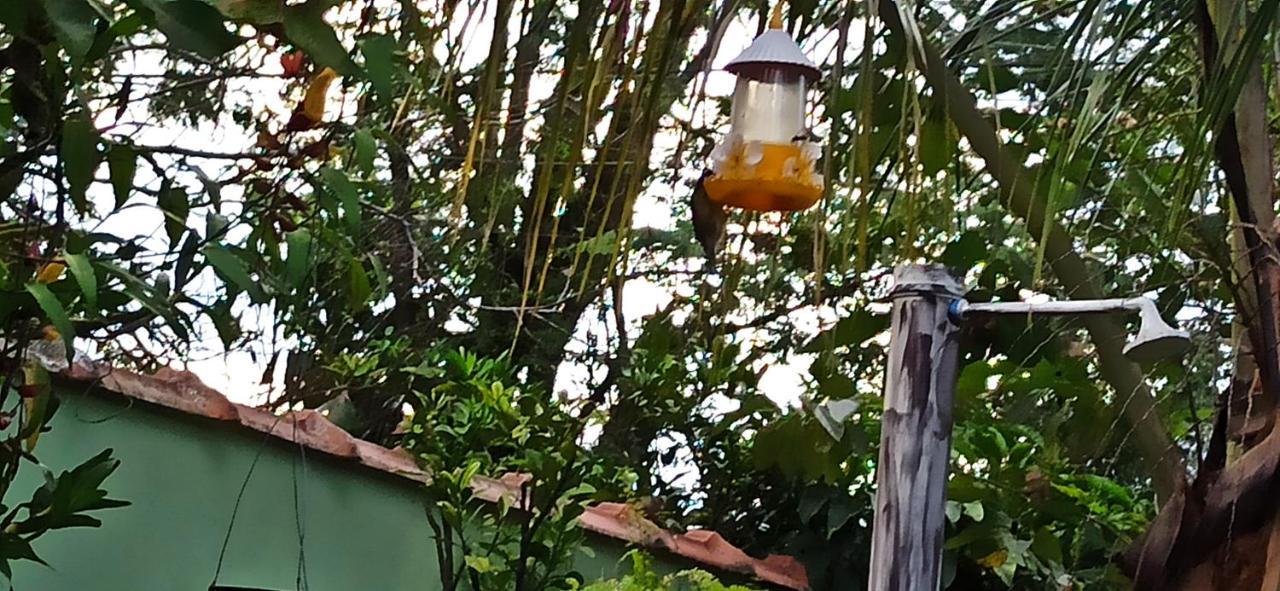 Paraiso Aconchegante Casa Espacosa E Muito Verde Caraguatatuba Eksteriør billede